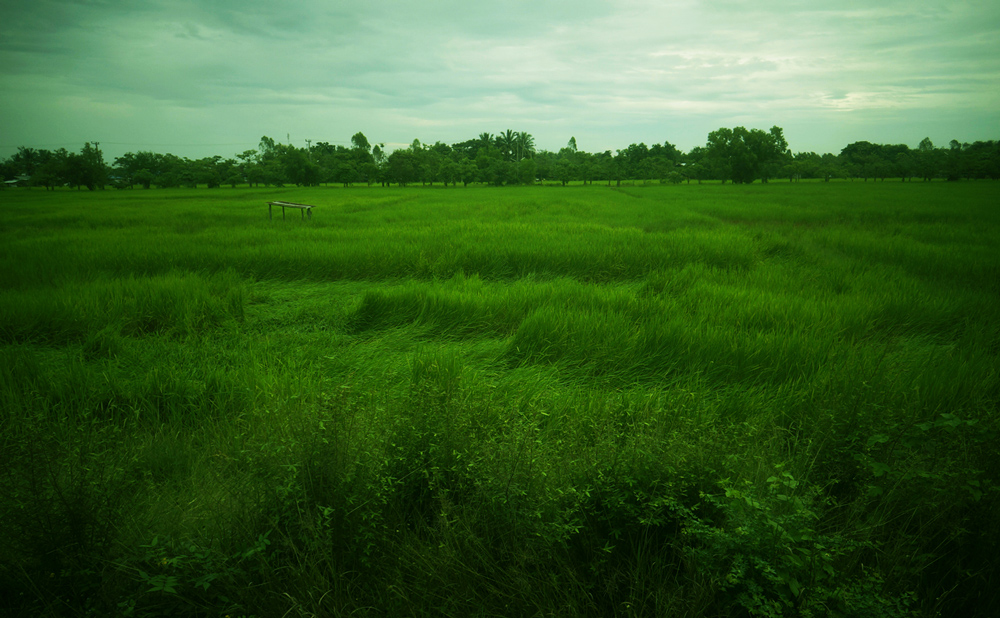 Udon Thani TAILAND 2011